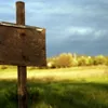 Guide d'achat d'un terrain constructible : conseils et démarches pour réussir votre projet