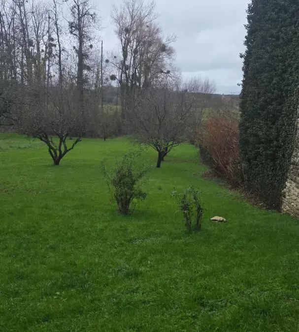 Photo 14