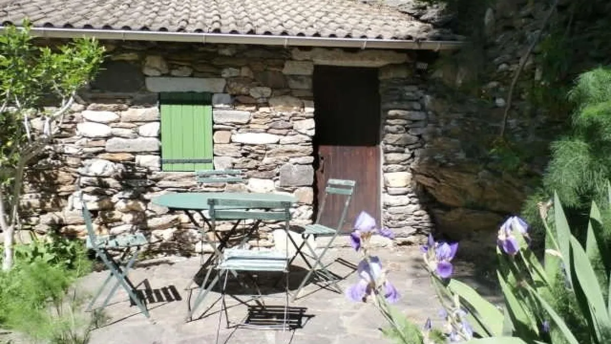 Photo 11