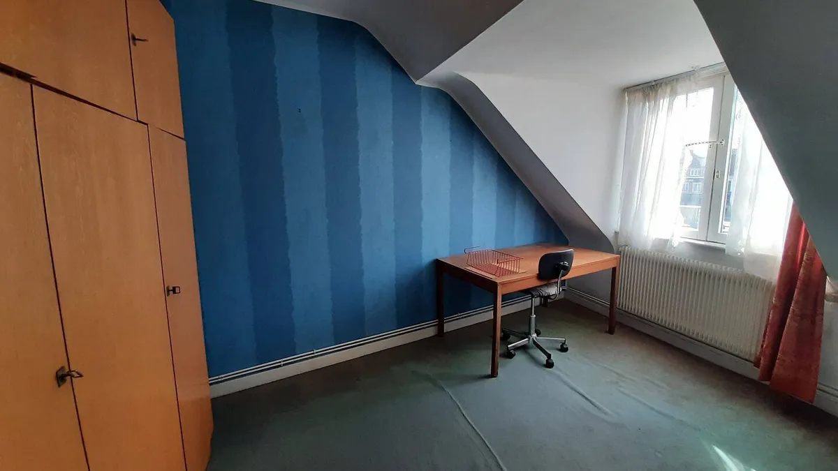 Photo 11