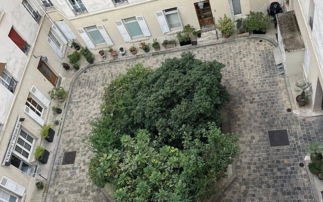 Photo 6