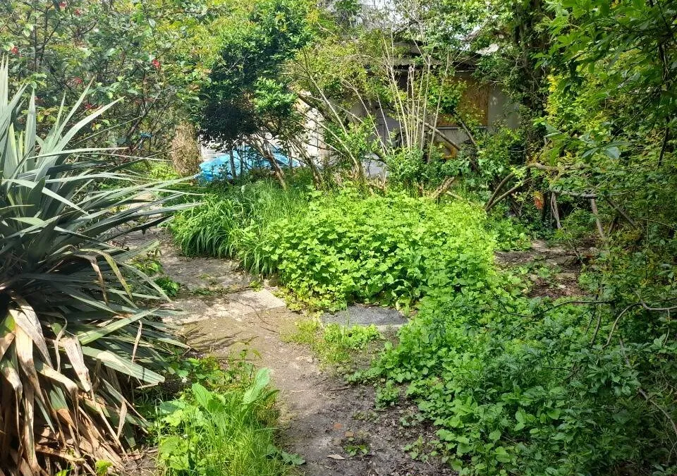Photo 4