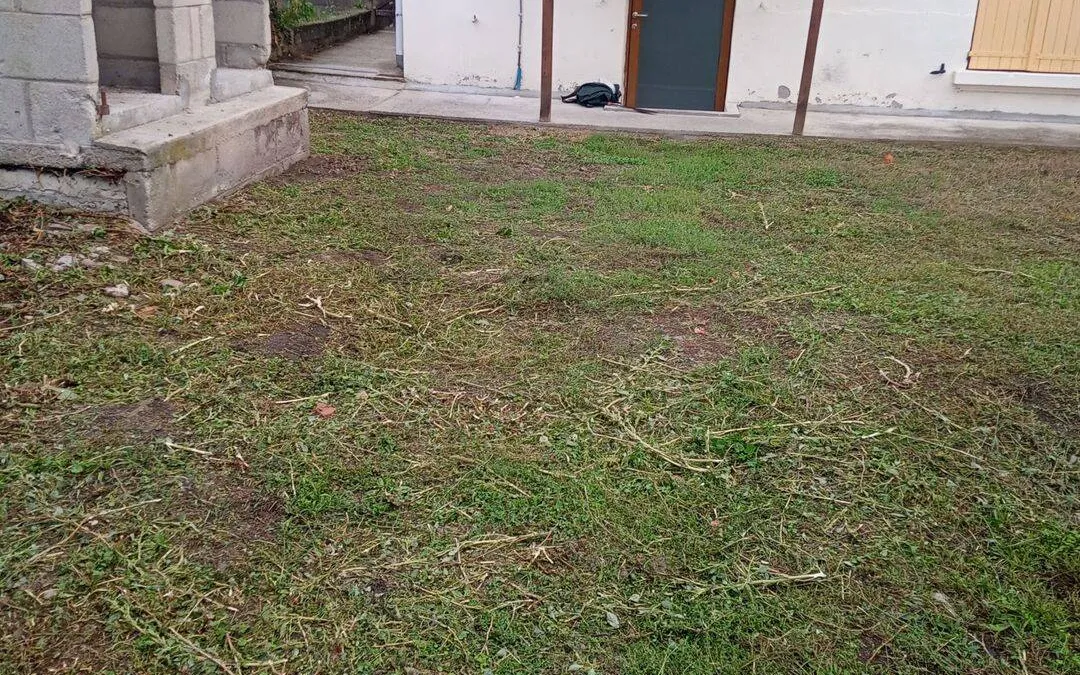 Photo 26