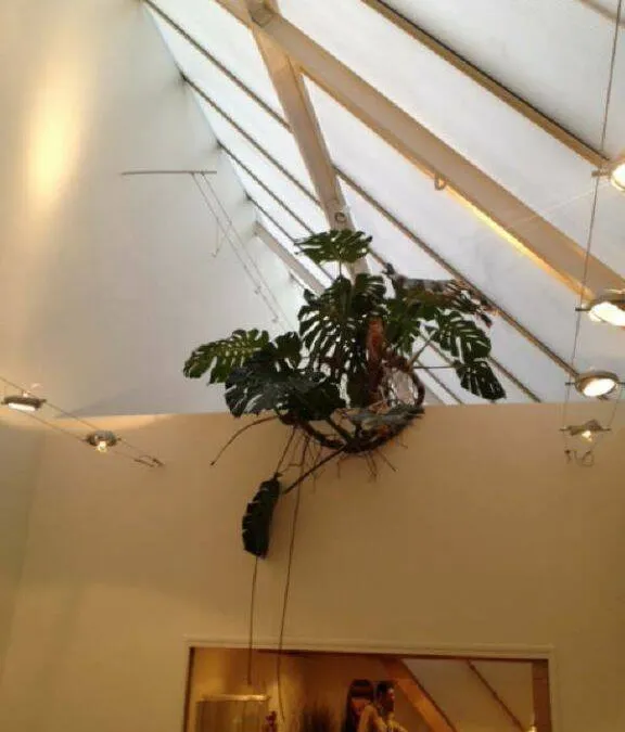 Photo 4