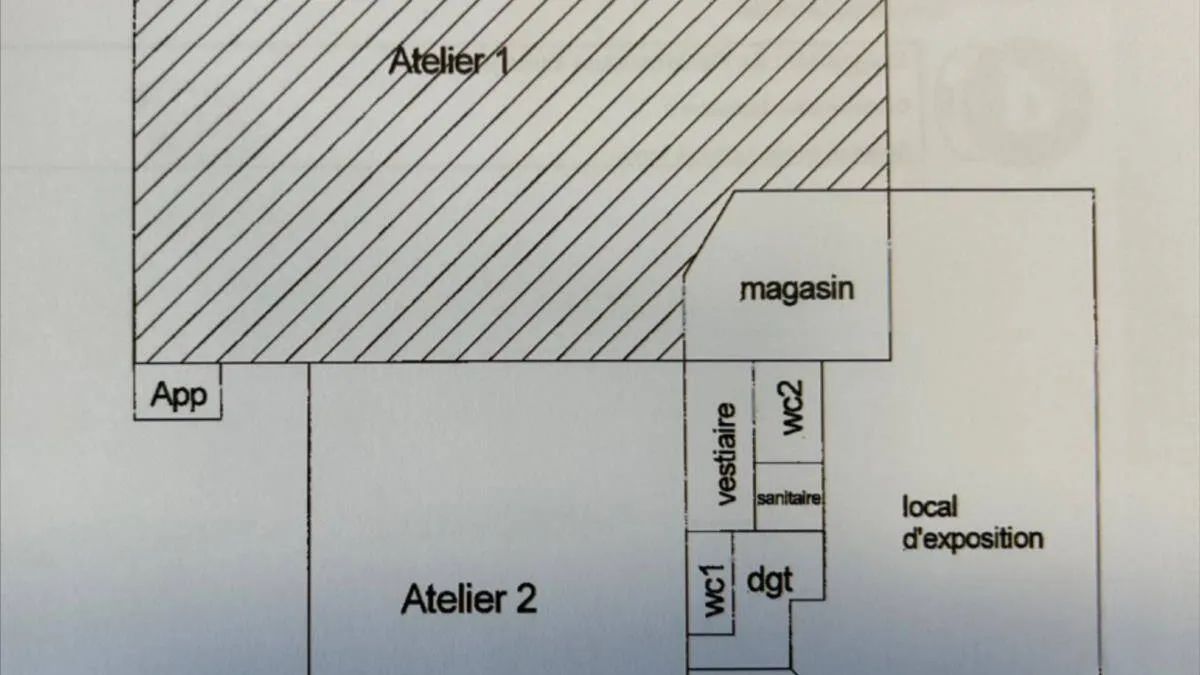 Photo 5