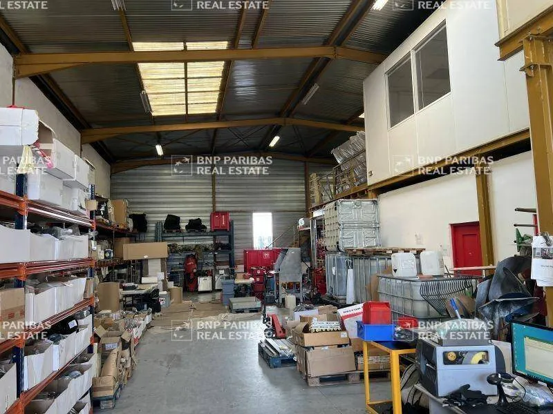 Photo 5