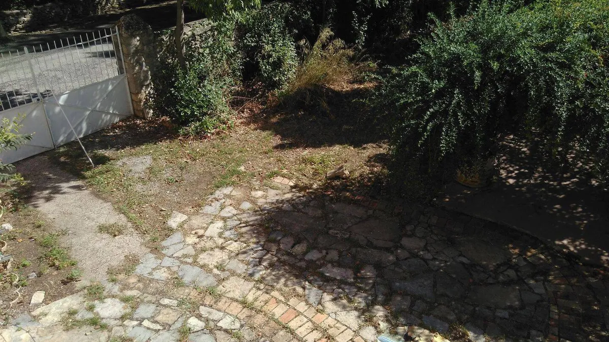 Photo 4