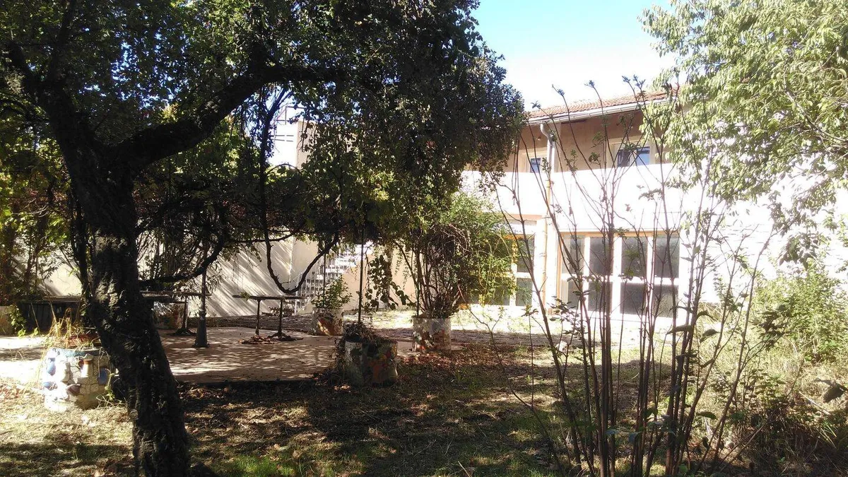 Photo 7