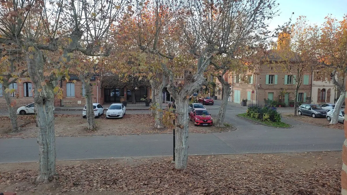 Photo 22