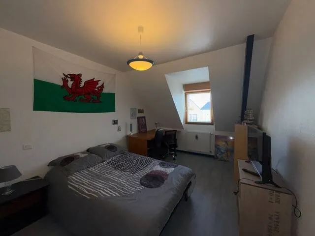 Photo 26