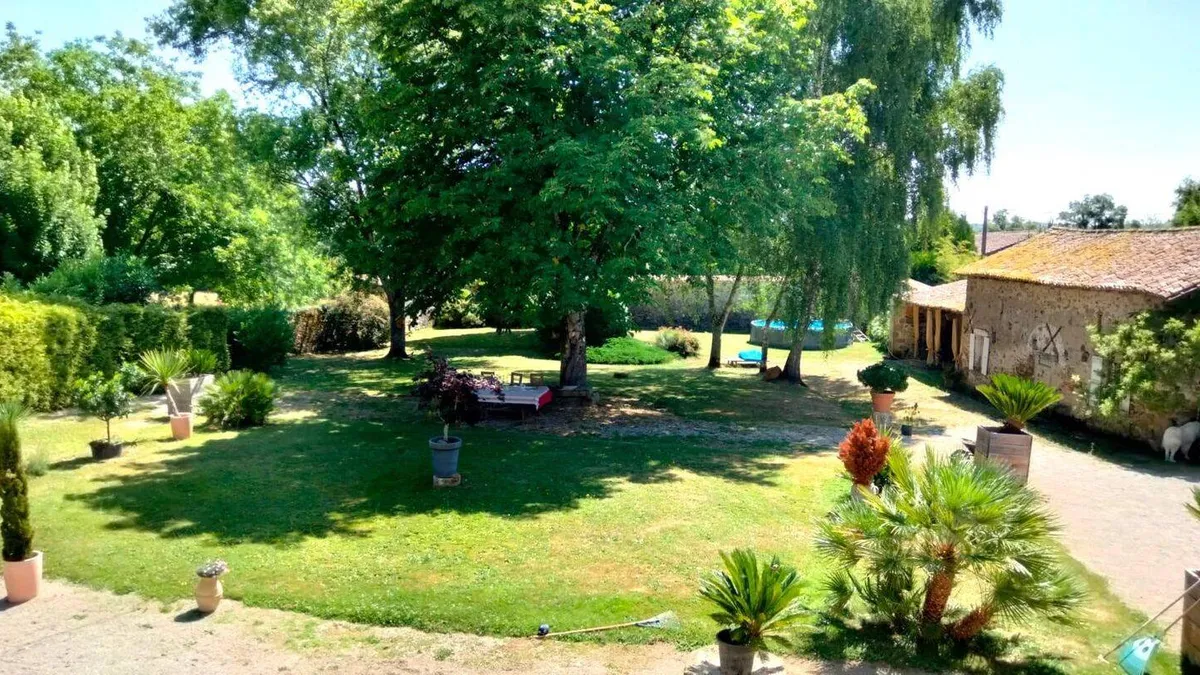 Photo 6