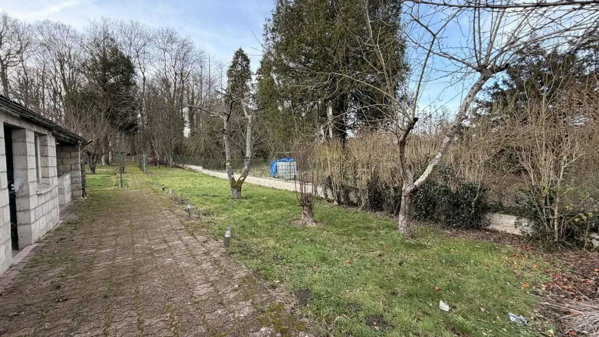 Photo 25