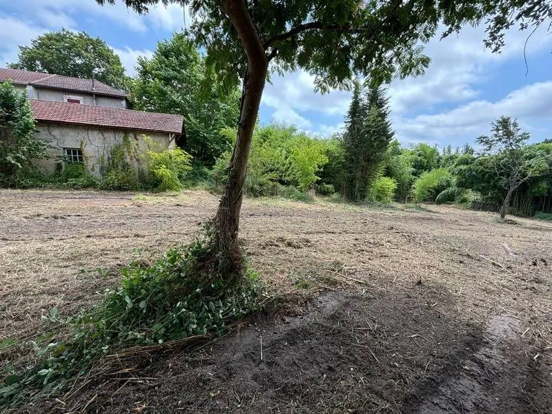 Photo 11