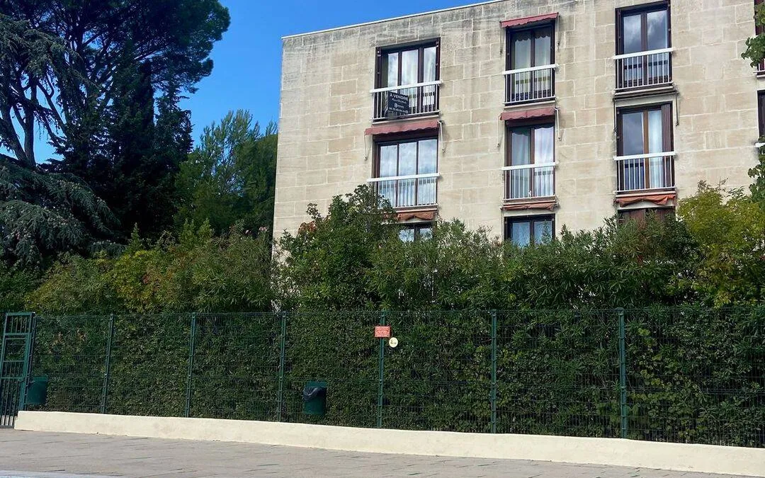 Photo 7