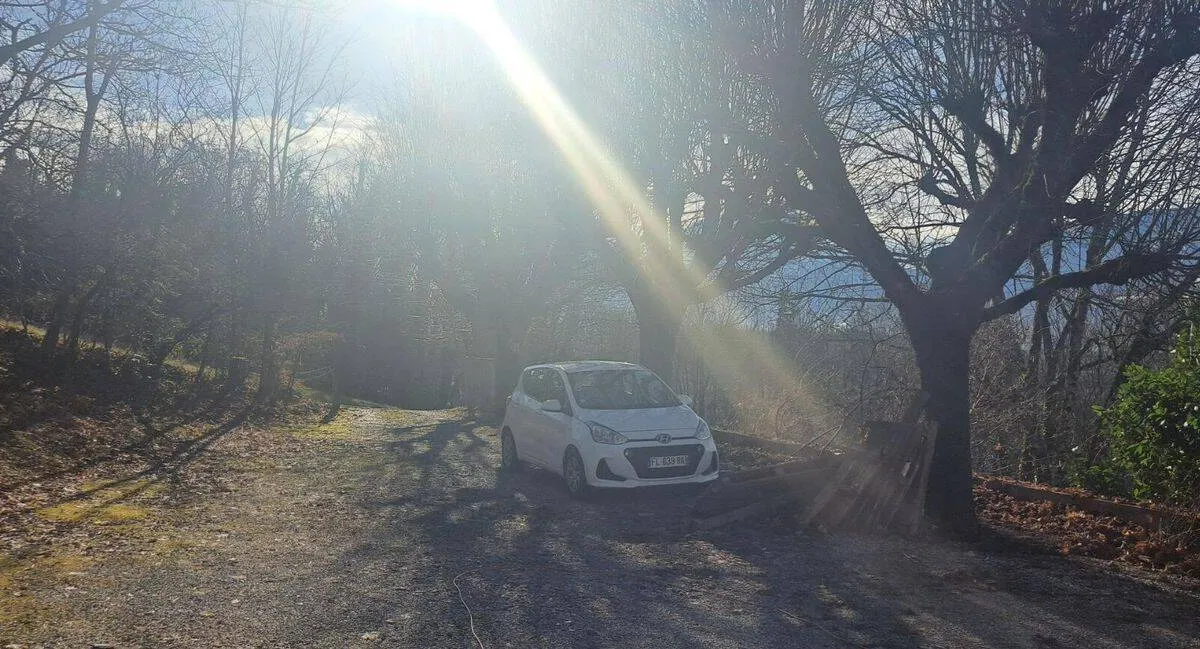 Photo 6