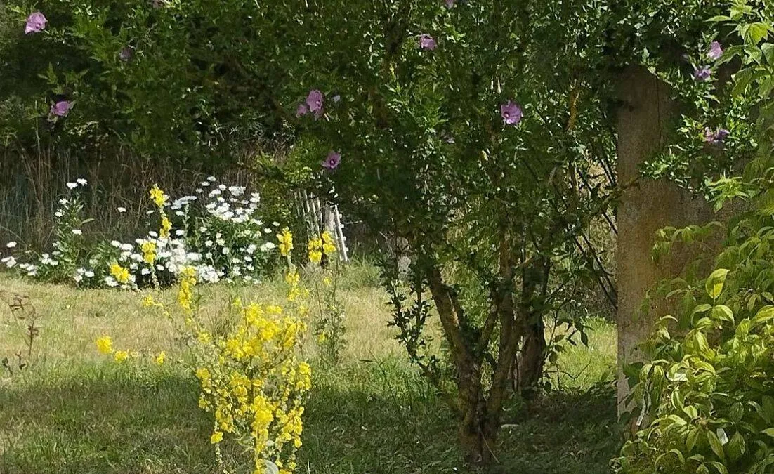 Photo 25