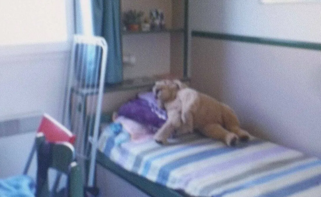 Photo 4
