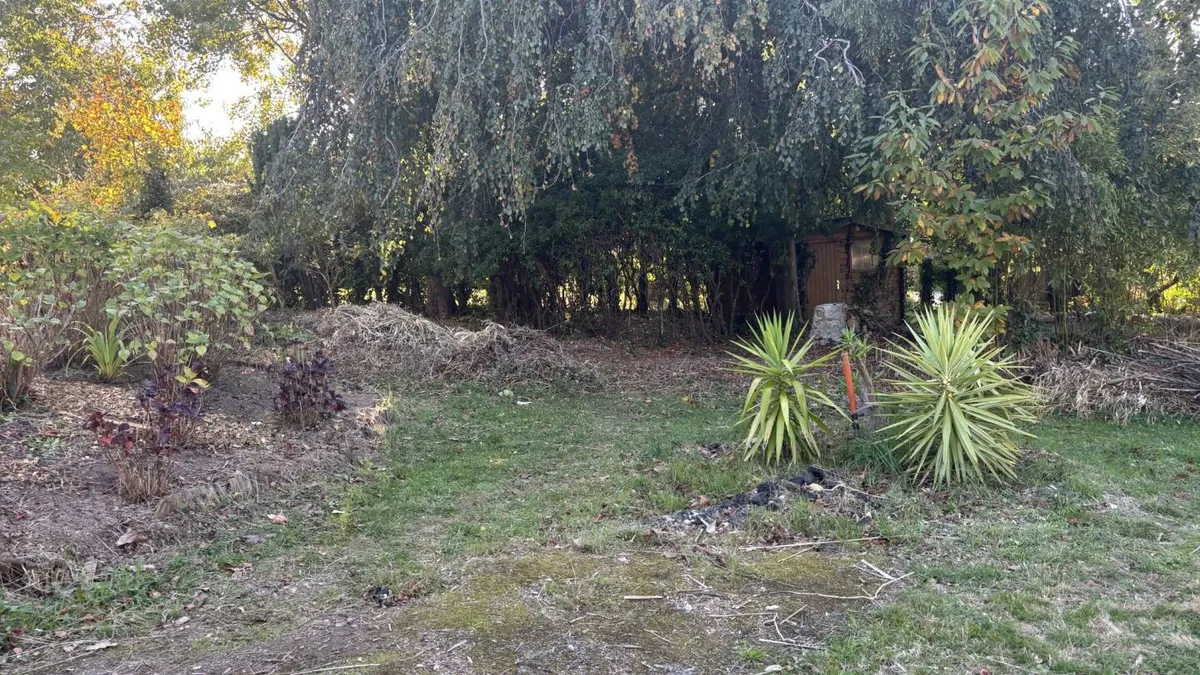 Photo 14