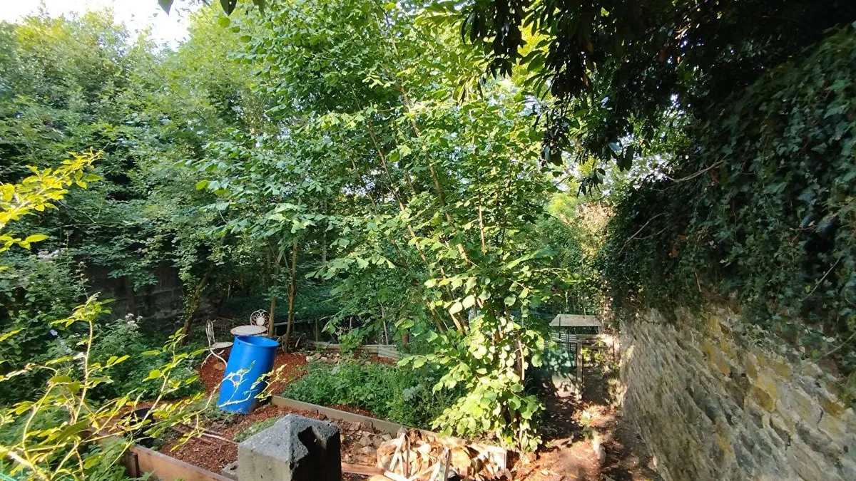 Photo 12