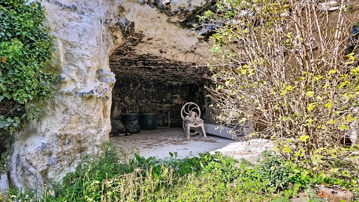 Photo 13