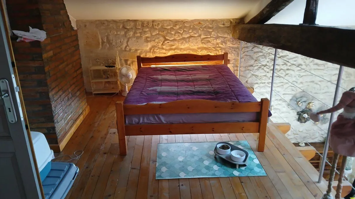 Photo 15