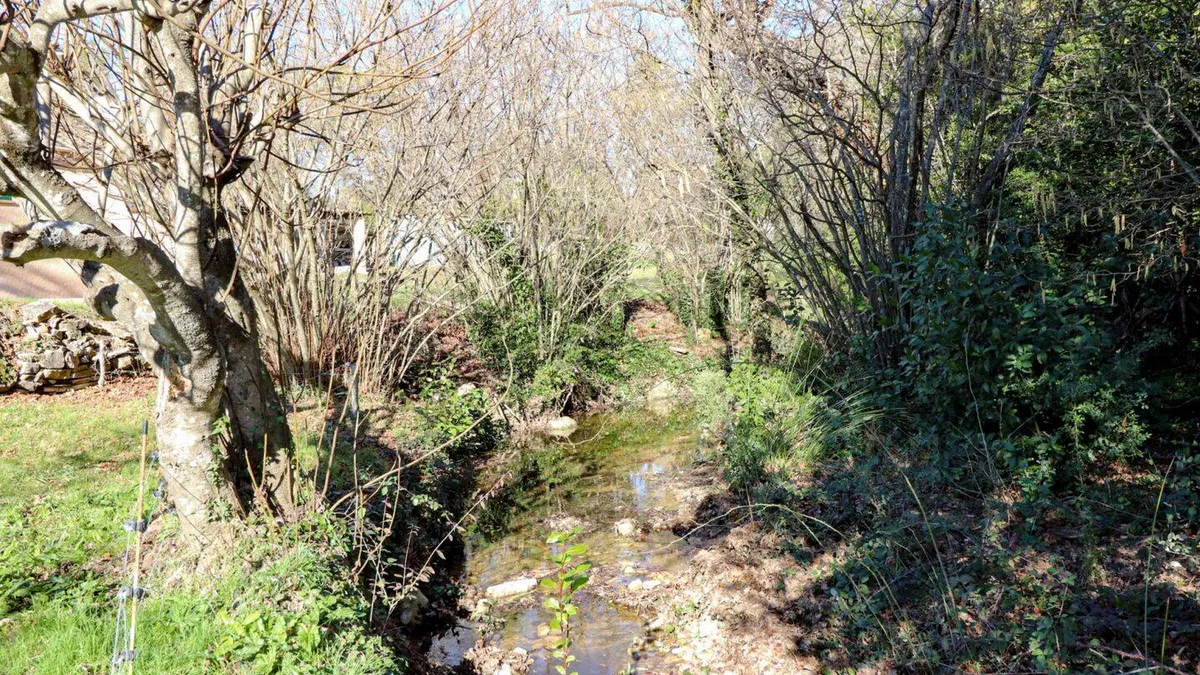 Photo 22
