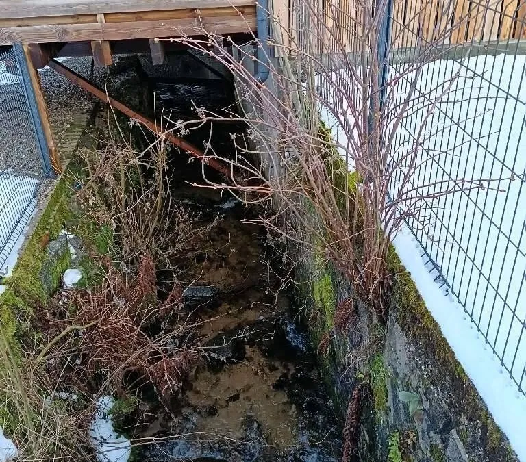 Photo 4