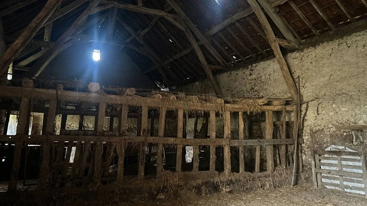 Photo 14