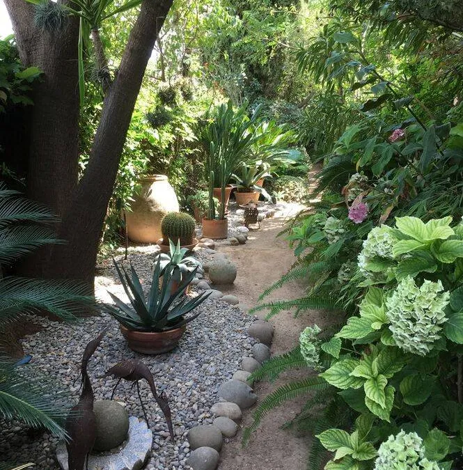 Photo 26