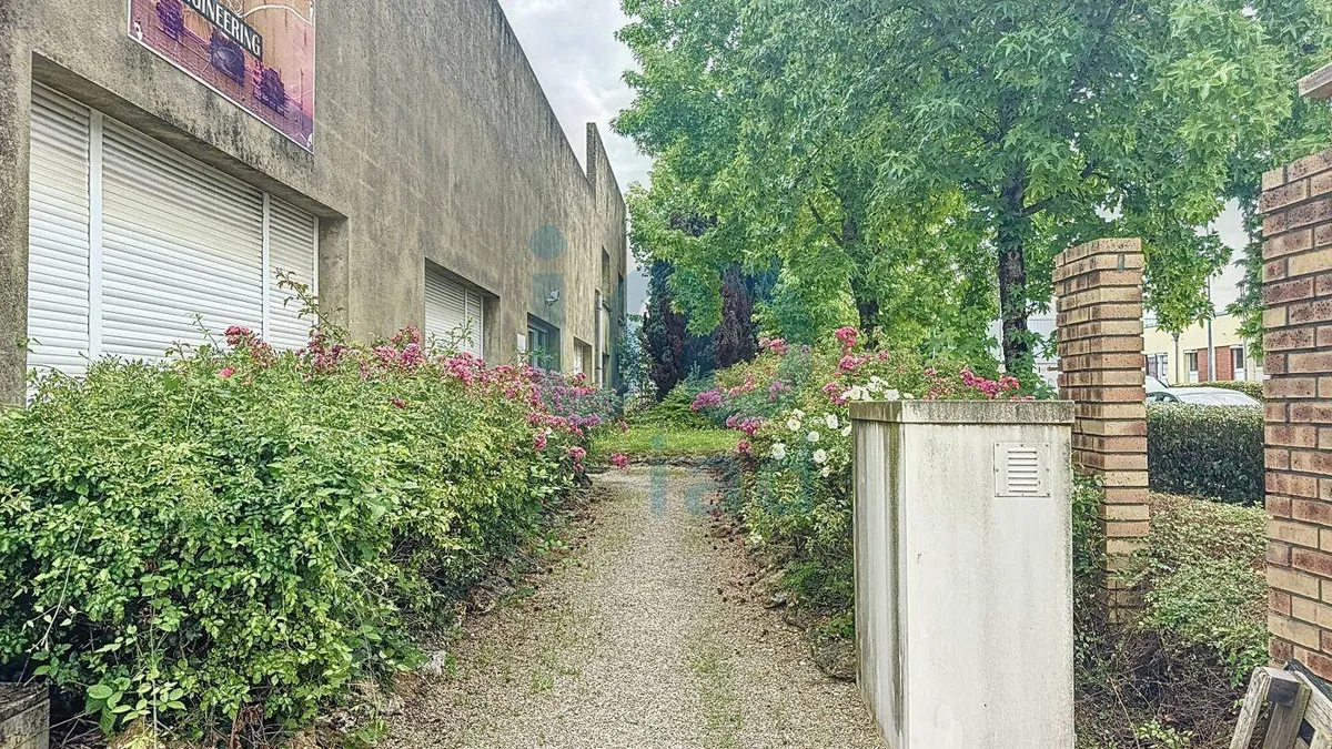 Photo 15