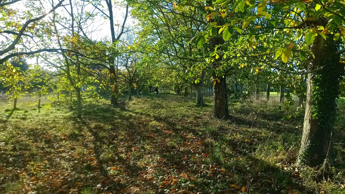 Photo 4