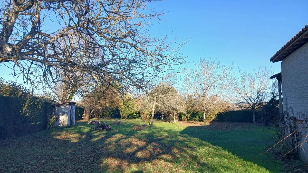 Photo 18