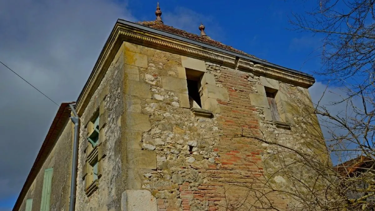 Photo 5