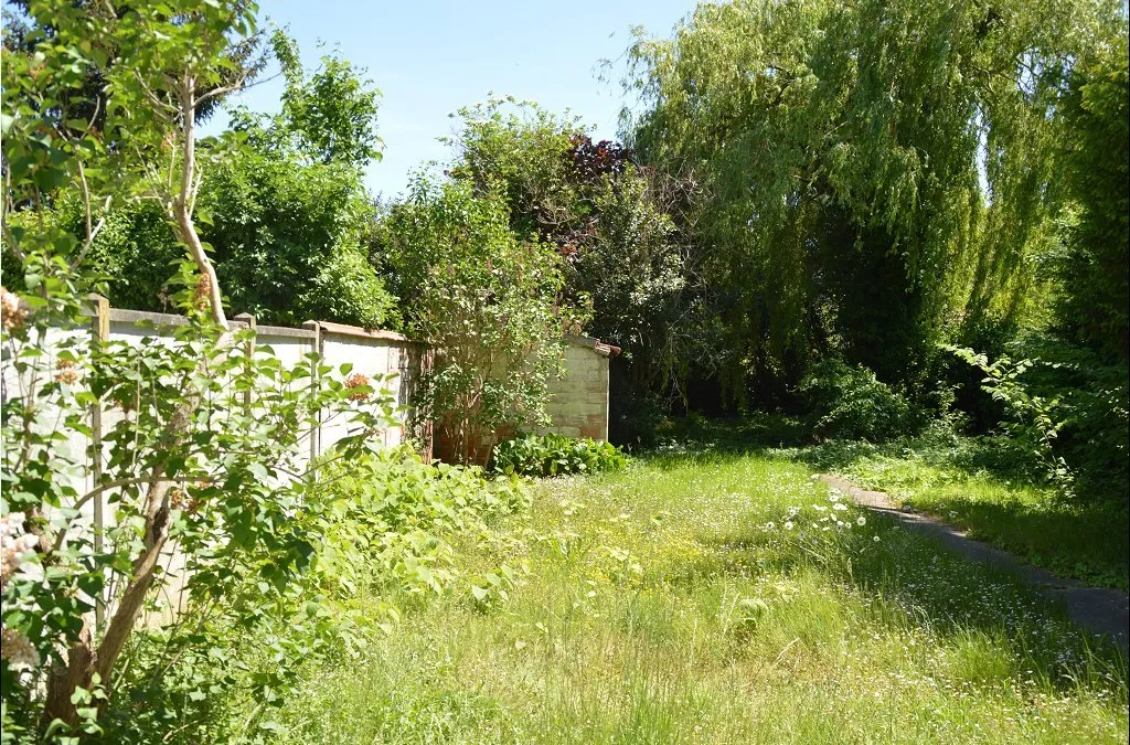 Photo 17