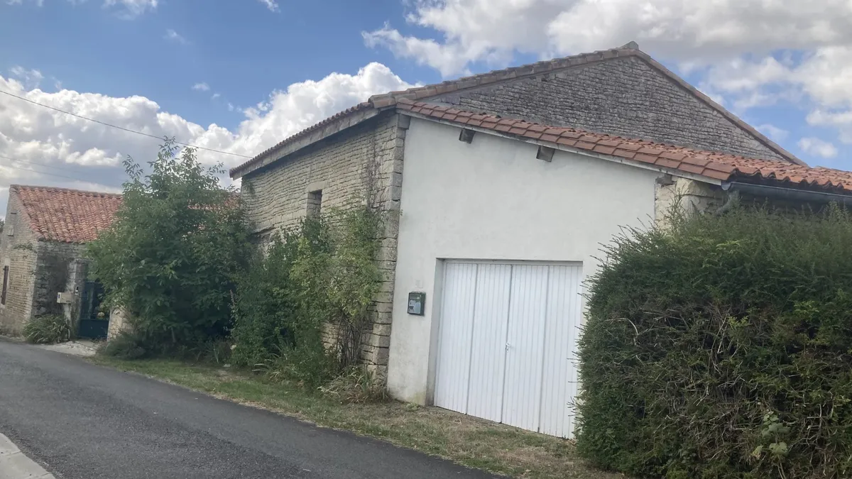 Photo 19