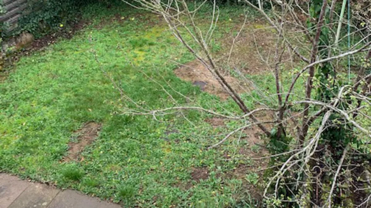 Photo 5