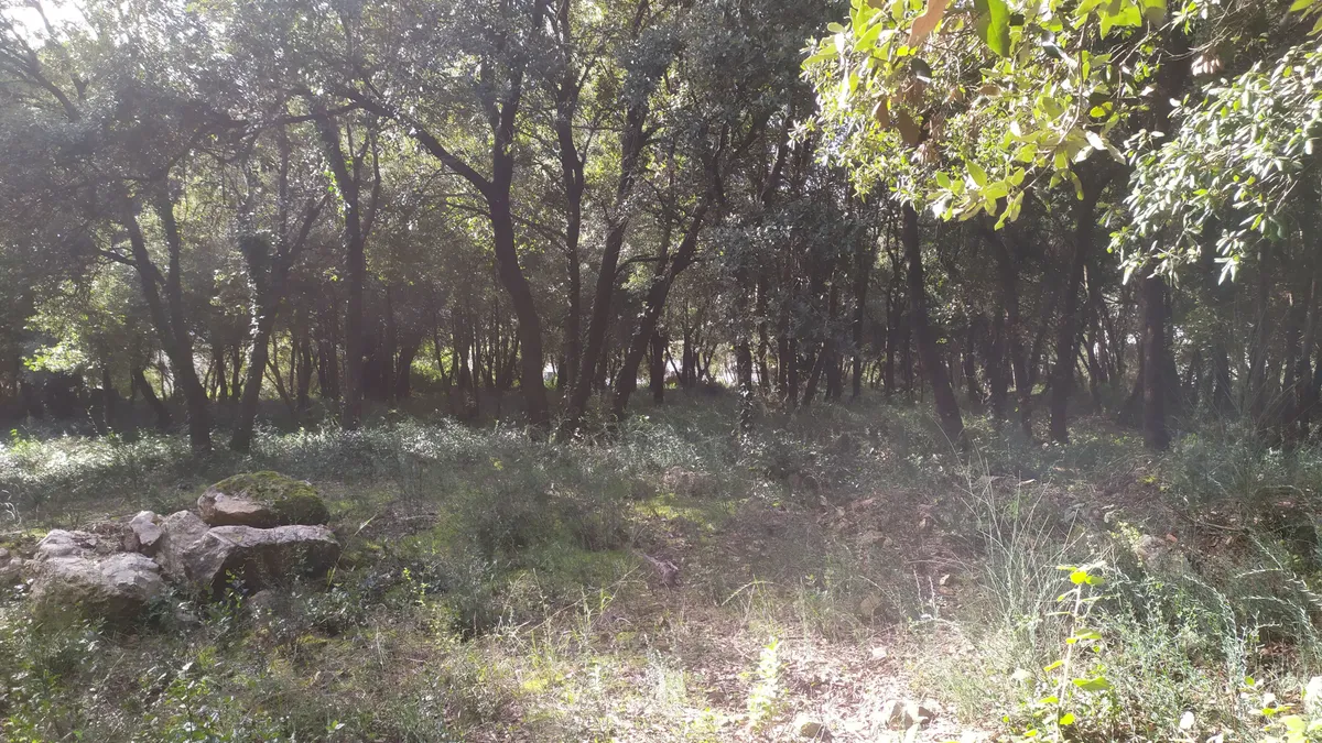 Photo 4