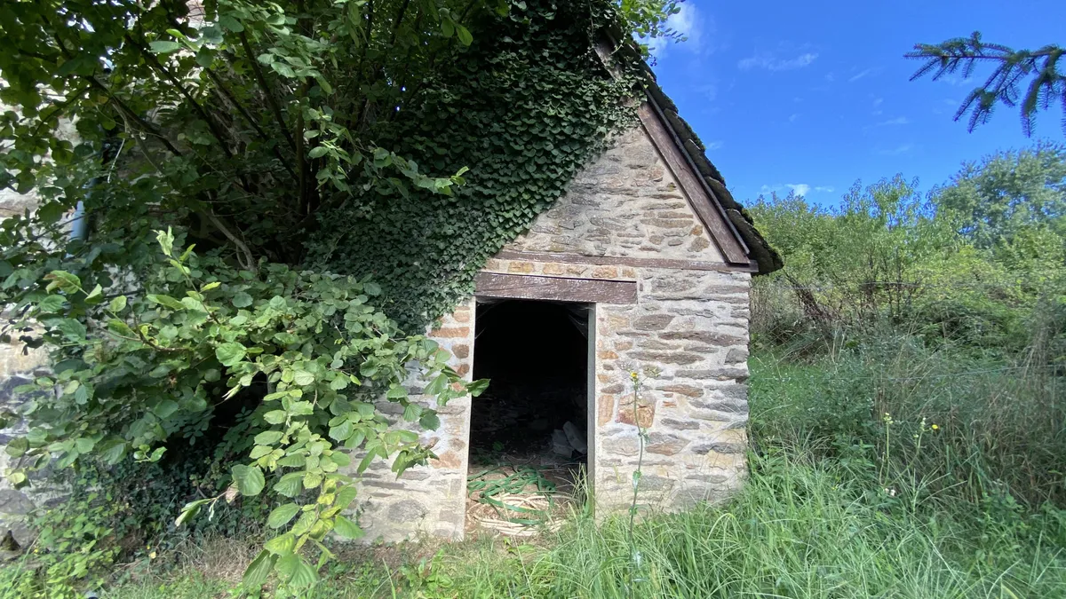 Photo 17