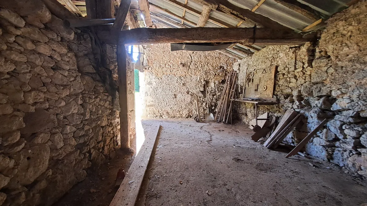 Photo 19