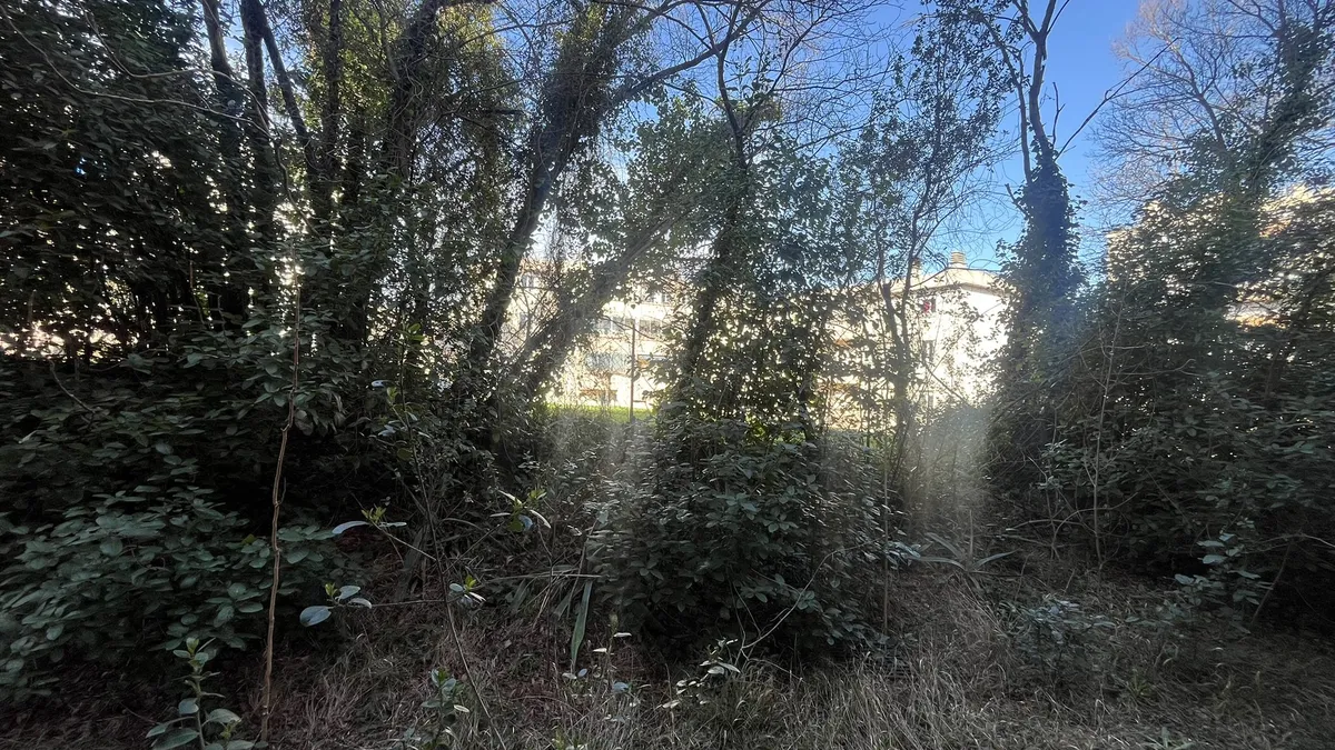 Photo 22