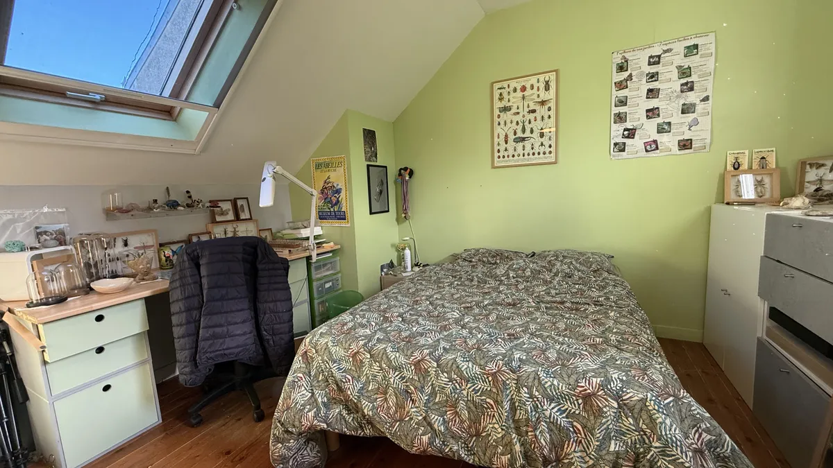 Photo 8