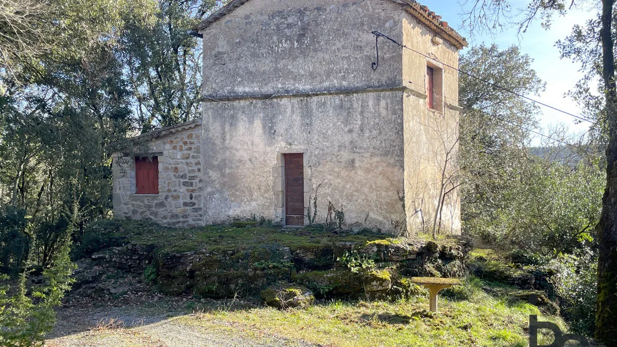 Photo 11