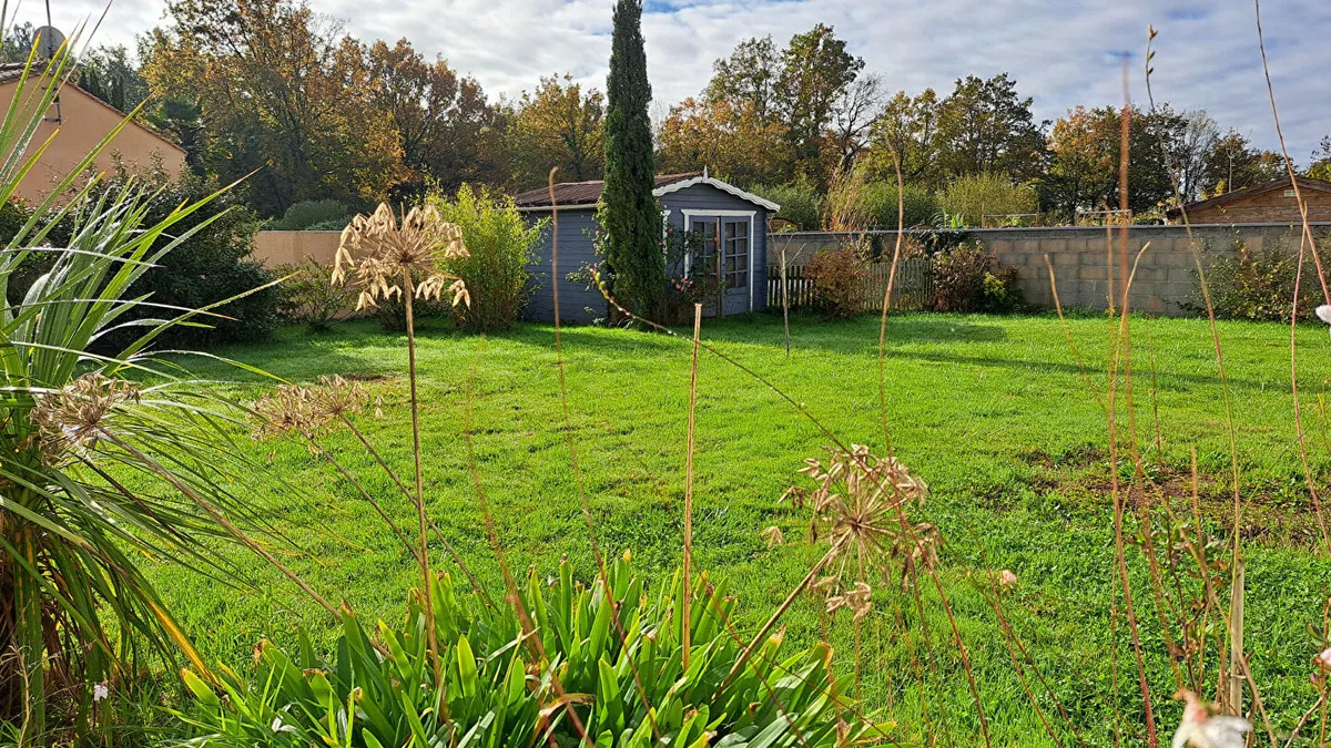 Photo 15