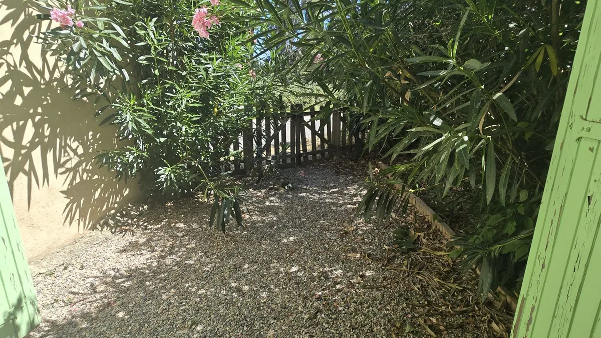 Photo 17