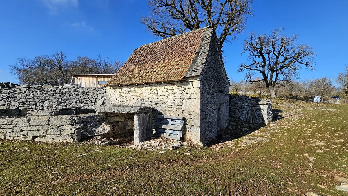 Photo 13