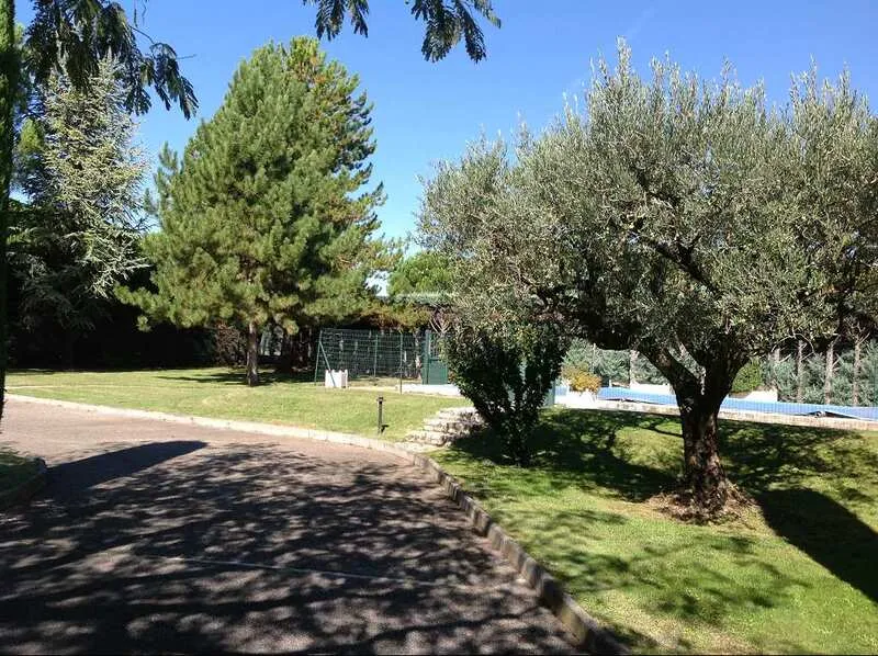 Photo 9