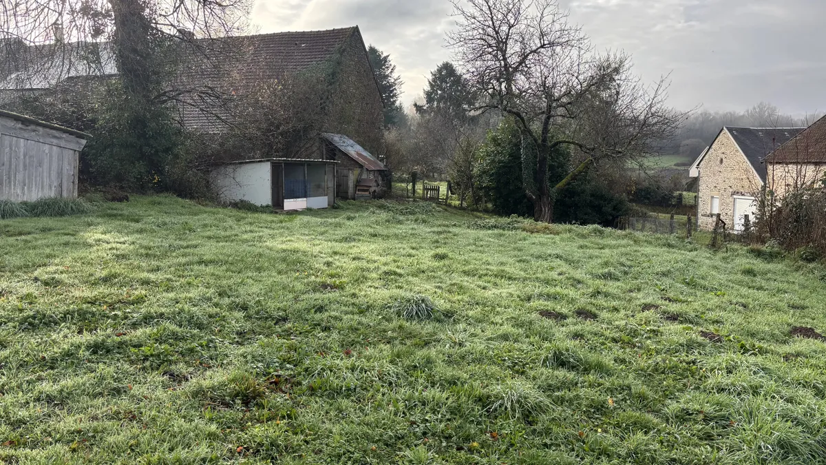 Photo 19