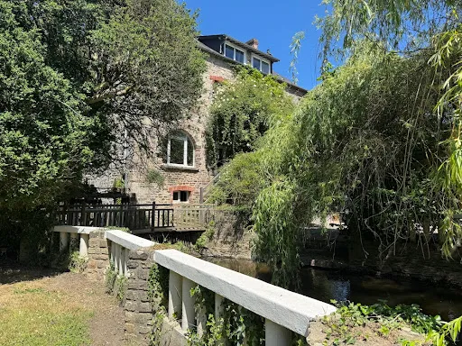 Photo 15