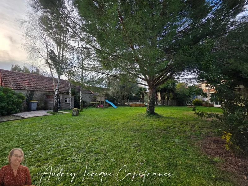 Photo 19