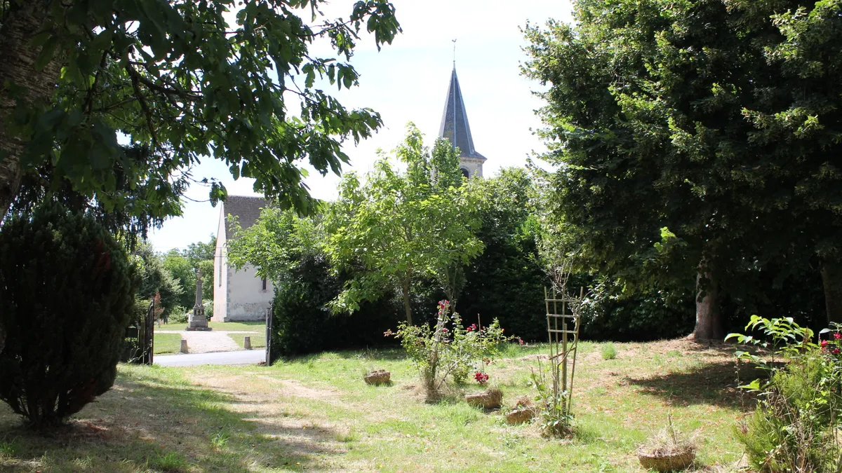 Photo 19